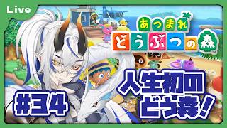 [あつまれどうぶつの森] 人生初のどうぶつの森！？色々教えてもらえると助かります！釣り、虫取りコンプ目指します！！ 夏のお魚、桟橋編vol34 [シャヘル]