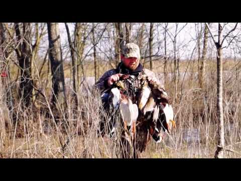 Archive 46 Video thumbnail