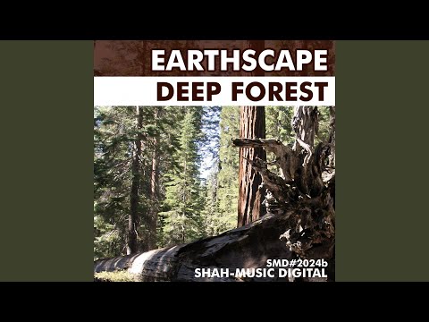 Deep Forest (Chillout Mix)