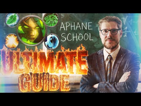 THE ONLY GUIDE YOU NEED! Hunter + Healer 2v2 (MoP) | Aphane School