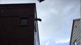 Gargoyles Hard at Work in Seattle