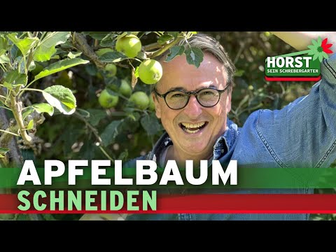 Obstbäume schneiden - Sommerschnitt beim Apfel - 3 einfache Tipps | Horst sein Schrebergarten