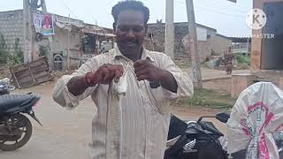 తెల్ల పాము చేప /భాయముచు చేపలను ఏలా శుభ్రం చేస్తున్నారో చూడండి 🐠🐠🐠