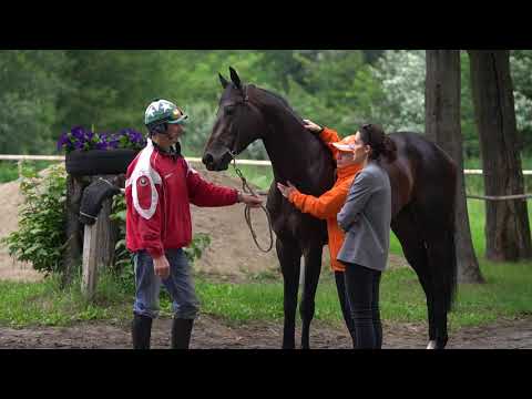 Gala Derby 2020 - wywiad z trenerem Wojciechem Olkowskim