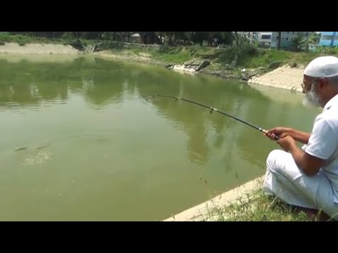 Strong Catla Fishing By 80 Years Old Fish Hunter Video