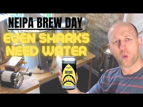 Brew Day | NEIPA Even Sharks Need Water by Verdant Brewing Co | Ss Brewtech
