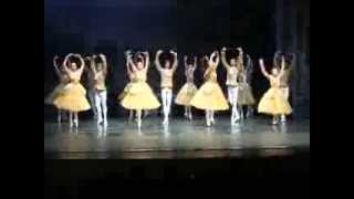 preview picture of video 'Балет Лебединое озеро в постановке Классического русского балета.'