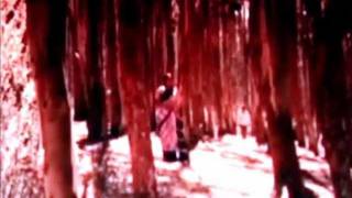 Engiruntho Alaikum - En Jeevan Paduthu