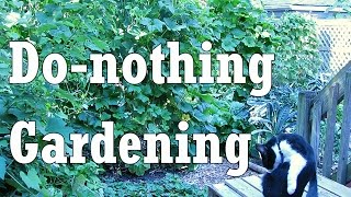 Toward a Do-nothing Gardening, pt. 1: Soil Fertility (Lazy Gardening)