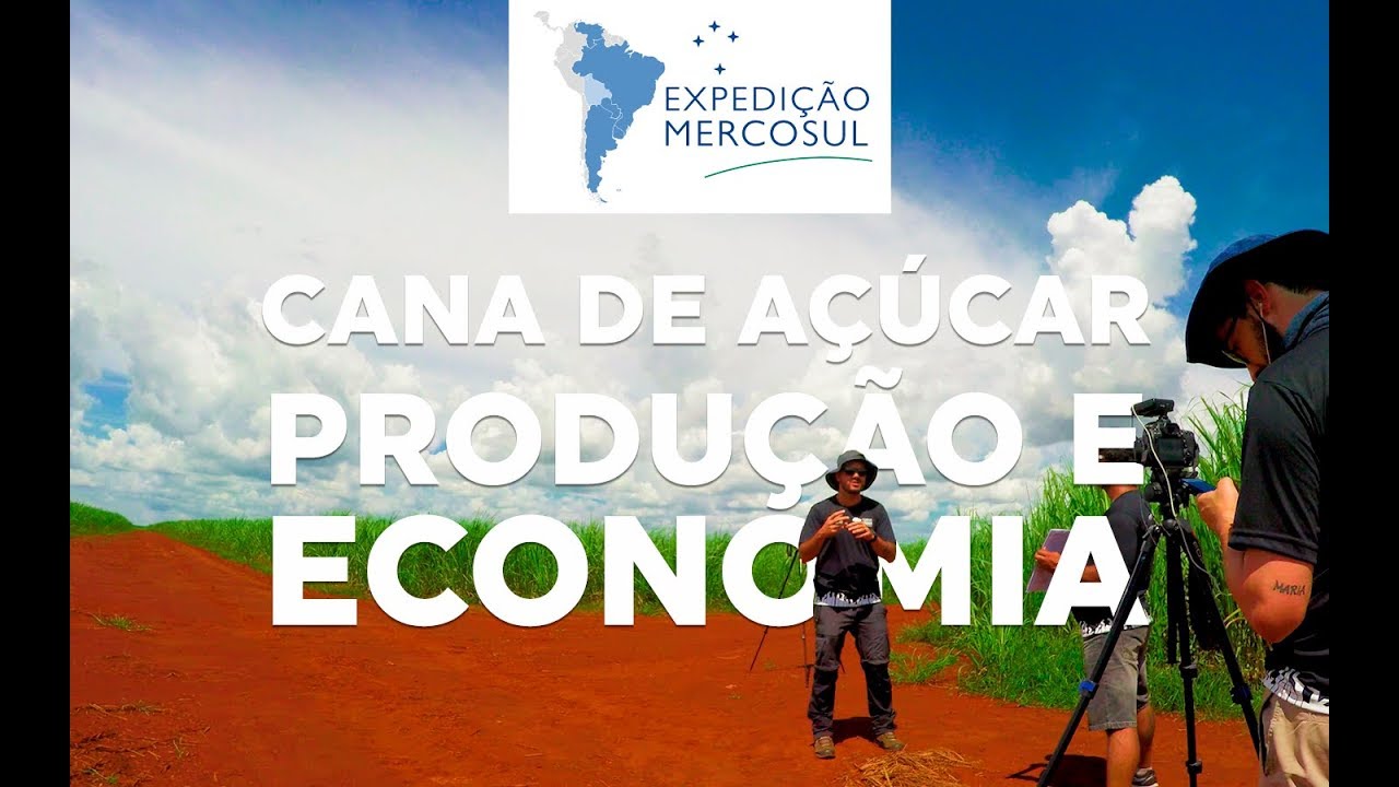 CANA-DE-AÇÚCAR, plantio, produção e economia - Expedição [#07]