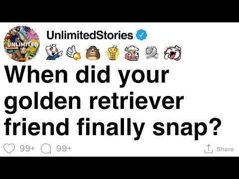 When did your golden retriever friend finally snap? [FULL STORY]