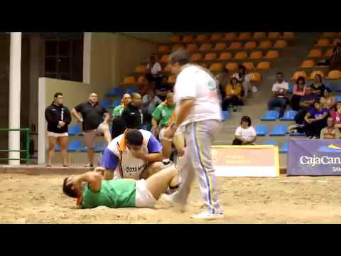 Brisas del Teide 9 - Guamasa 12