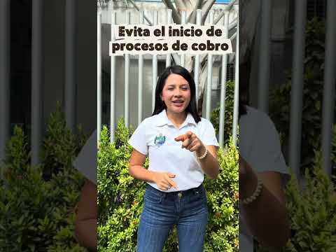 Ponte al Dia Impuesto Predial