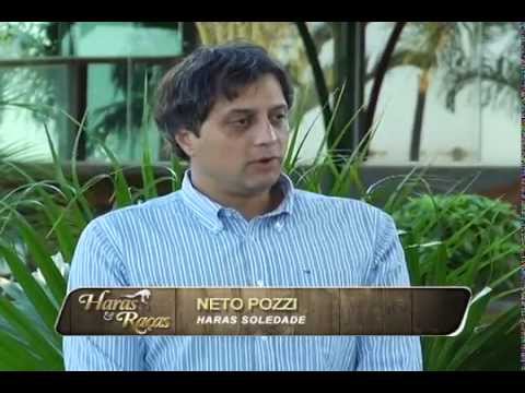 HARAS E RAÇAS - HARAS SOLEDADE (SEGUNDA-FEIRA)