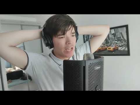 memory cats (Cover by LuisV) #brodway #catsthemusical #coversong