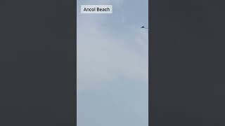 Download lagu #AncolBeach #Macaw. Berkumpulnya para penggemar burung Macaw 👍 mp3