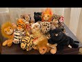 WILD CATS ‍ Ty ️ Beanie Babies BeanieBabyBabies