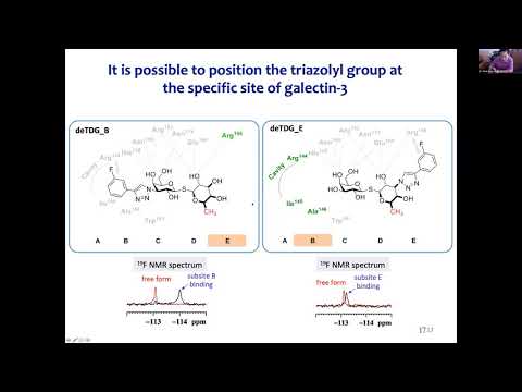 Dr. Chun-Hung Hans Lin: Efficient synthesis of thiodigalactoside derivatives for human galectin-3'