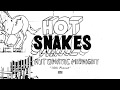 Hot Snakes - 10th Planet