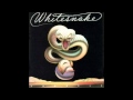 Whitesnake - Day Tripper 
