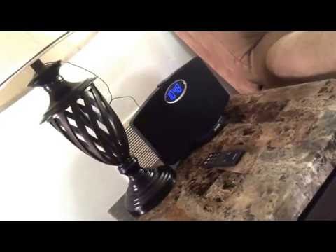 Livestreaming at 1pm est.  Twitch: twitch.com/sheepsquad00