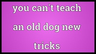 You can't teach an old dog new tricks Meaning