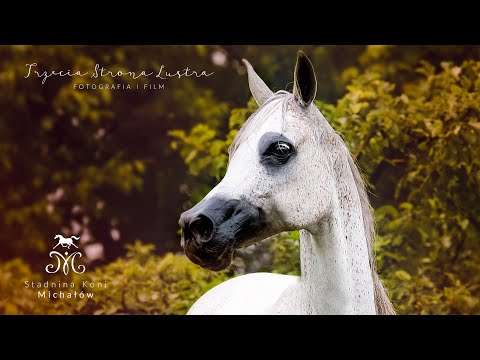 SK Michałów - Lawinia (2020r)