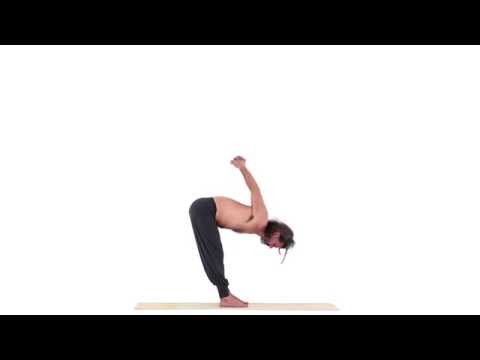 Elephant, Arms Variation - Gaja Asana