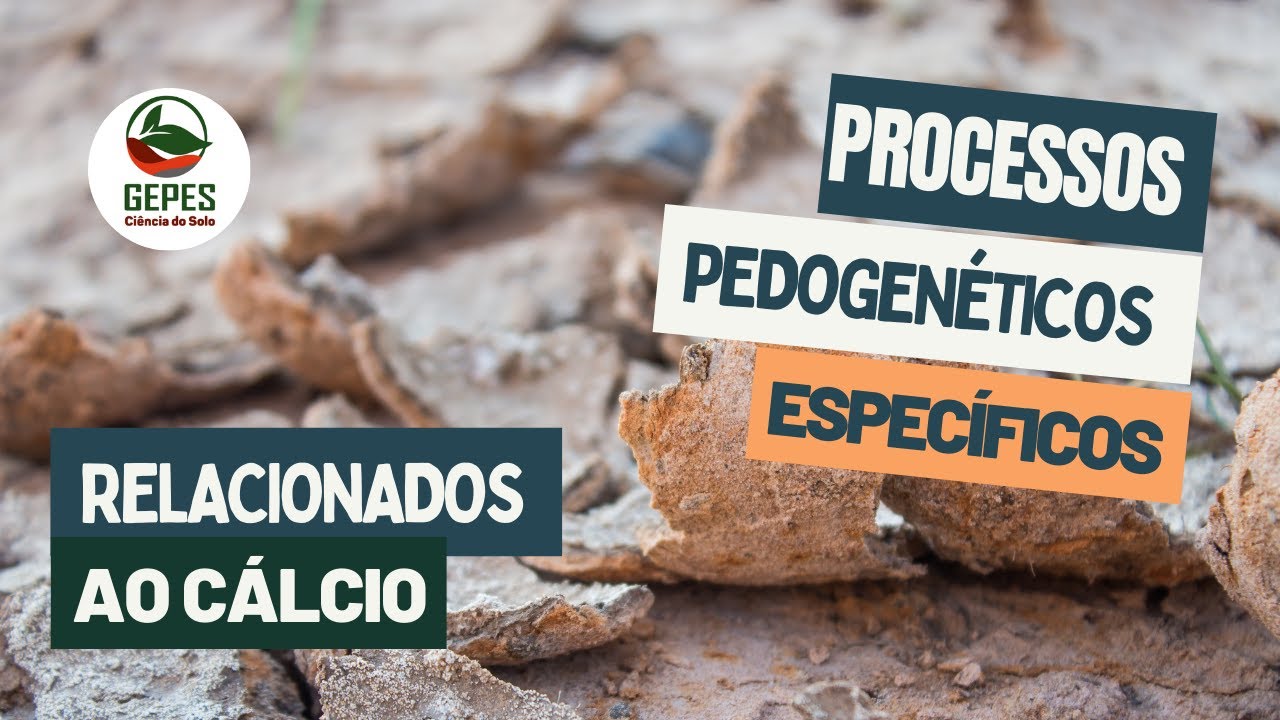 Processos pedogenéticos específicos: relacionados ao cálcio