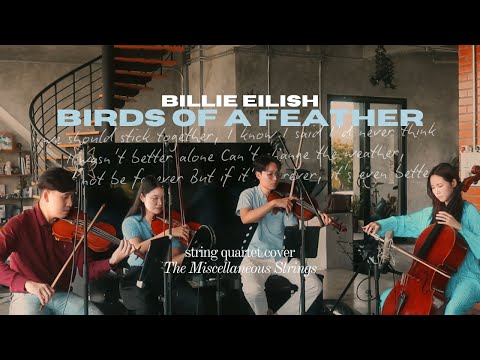 Billie Eilish - Birds Of A Feather | String Quartet Cover by The Misc. Strings