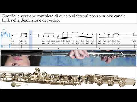 Corso di Flauto Shakira - Acróstico Tablature Tab um-a-n276 anteprime