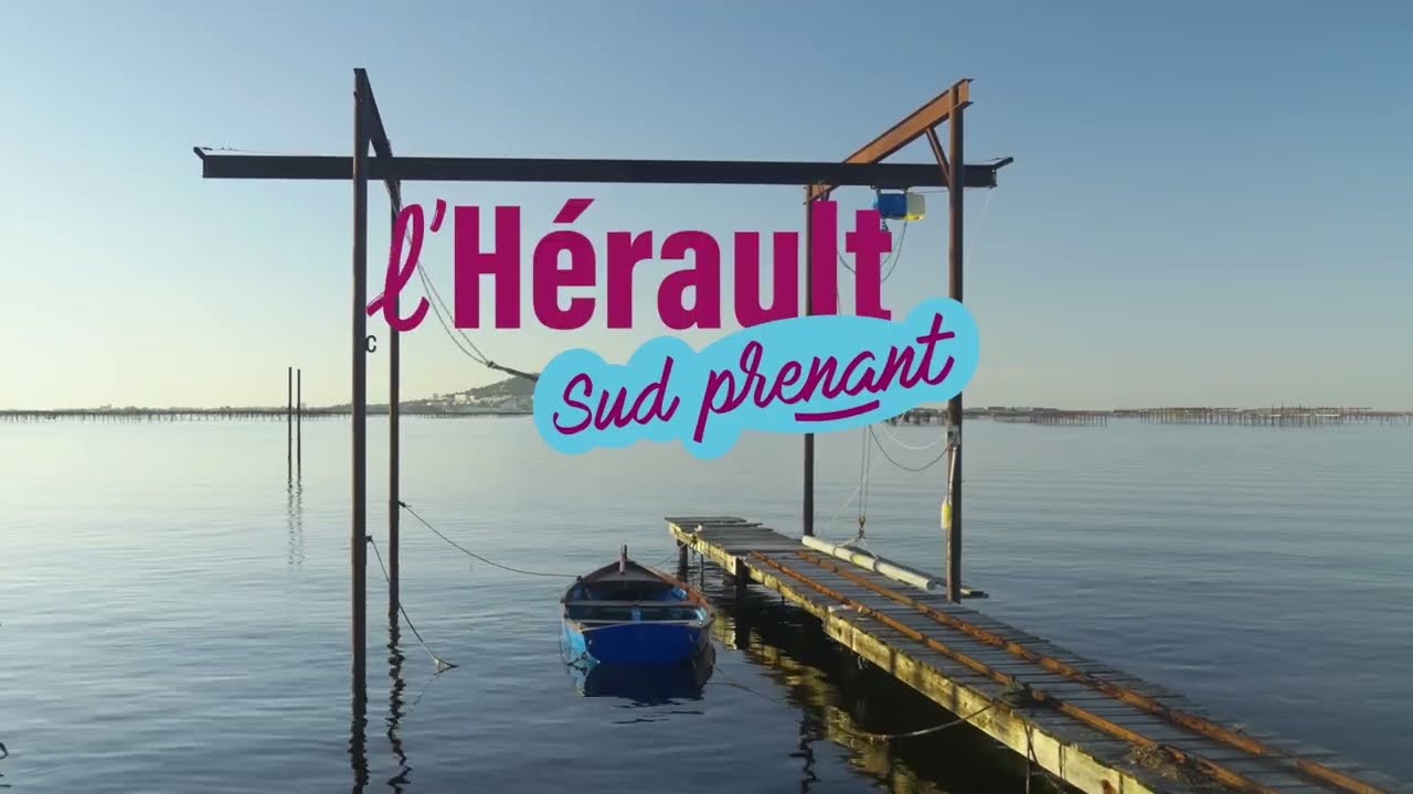Vignette vidéo