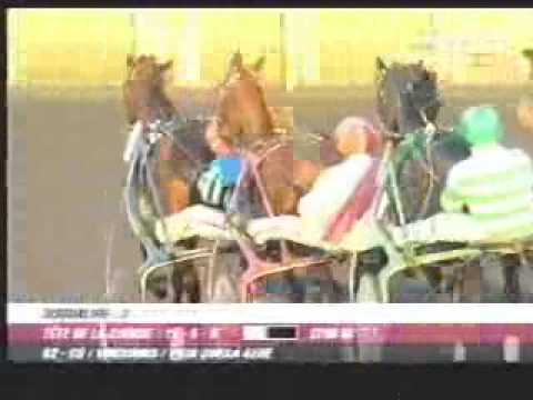 Prix Queila Gede 2007 -Qualita Bourbon