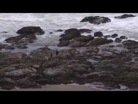 Coho Oceanfront Lodge