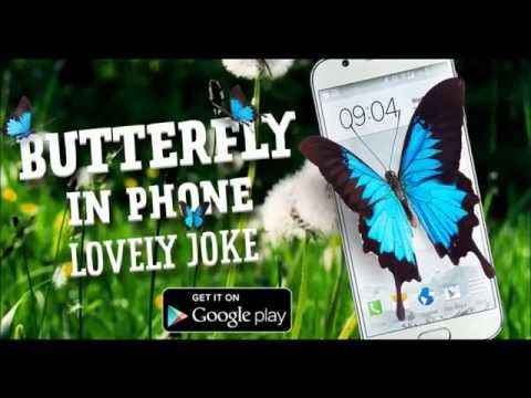 Butterfly in Phone lovely joke Video