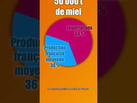 Combien y a-t-il d’apiculteurs et de ruches en France