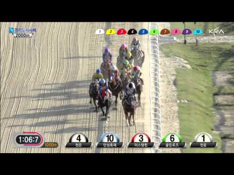 Gyeonggi Governors Stakes