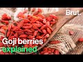The positives and negatives of Goji berries