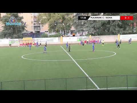 PLAJANUM CHIAIANO   ISCHIA   SINTESI