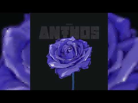 Meibe - Our smiles cost millions