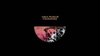 Andrew Weatherall - The Confidence Man (Sons Of Slough Remix)