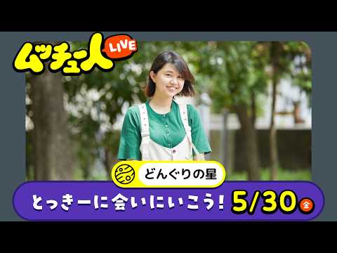 ムッチュー人LIVE｜どんぐりの星のとっきーに会いにいこう！