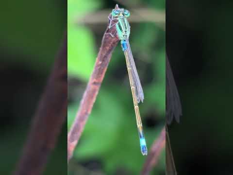 Just admire the beauty of nature look at what I got