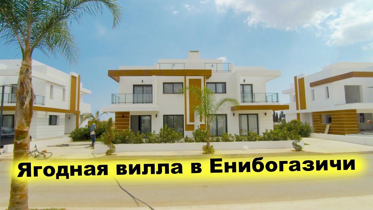 video image