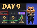 Day 9 Daily Combo Task Hamster Kombat