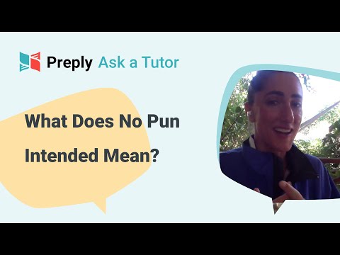 How Can I Understand No Pun Intended English Preply