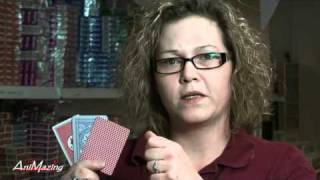 AniMazing Expert Talks: Spielkarten