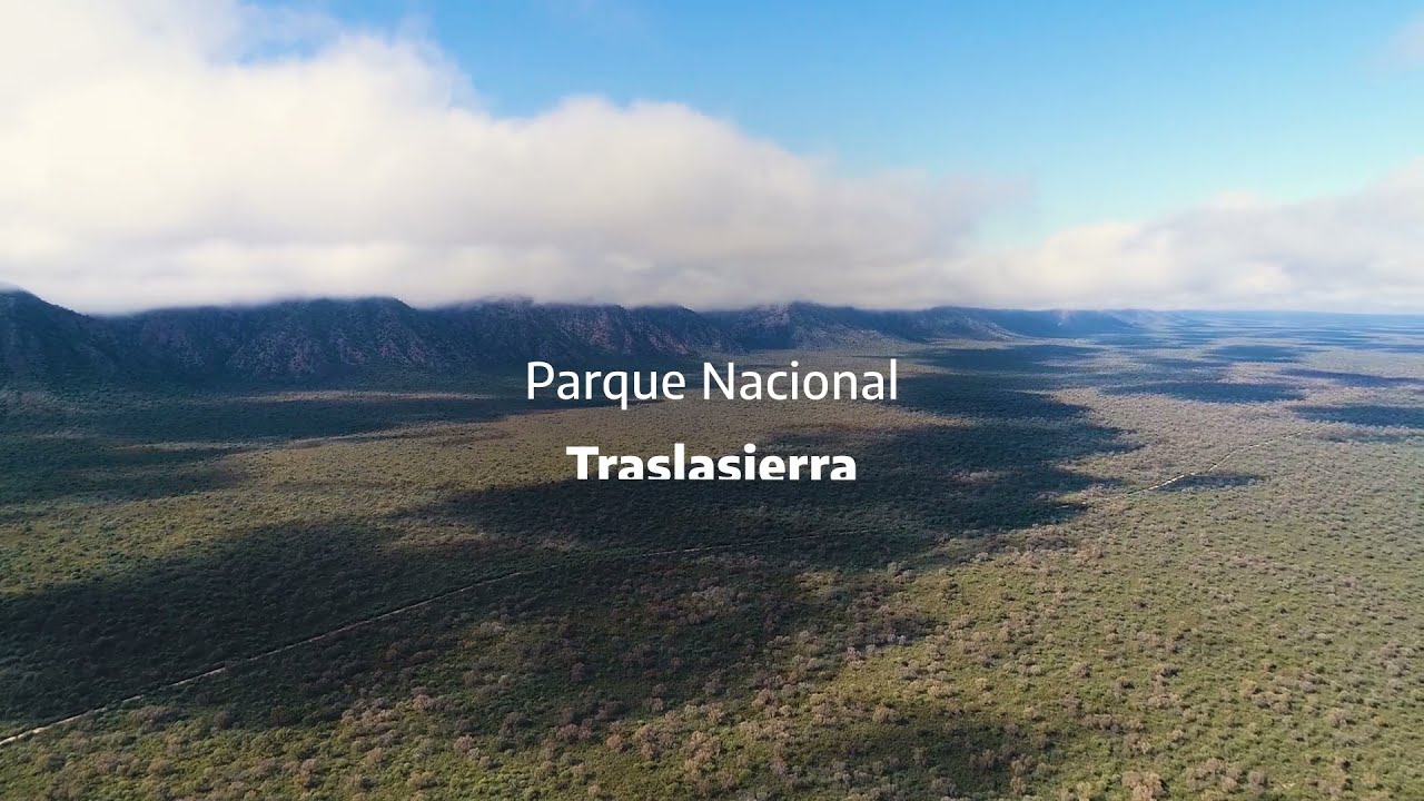 youtube video id=ajQe8hJEQR4