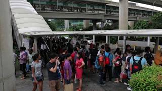 [Full Day NSEWL Closure] Shuttle bus queues at Jurong East