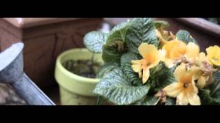 Itchy Teeth || Cover of Marika Hackman